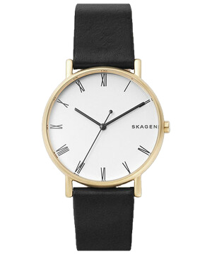Zegarek Skagen