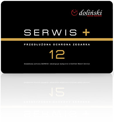 Serwis+ 12 miesięcy