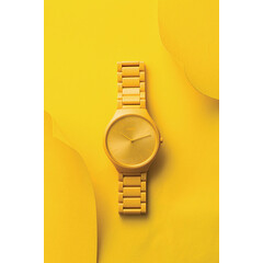 Rado True Thinline Les Couleurs™ Le Corbusier Sunshine Yellow 4320W zegarek