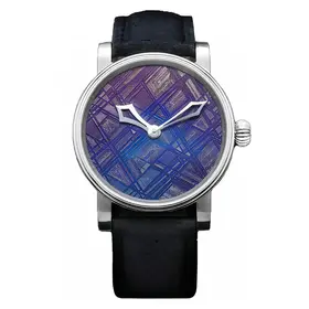 Schaumburg Natural Wonders Meteorite SCH-NWME 