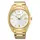 Zegarek męski Seiko Classic SUR314P1, Wersja: żółte złoto 