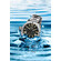 U-BOAT Sommerso/A MT 9007 zegarek nurkowy.