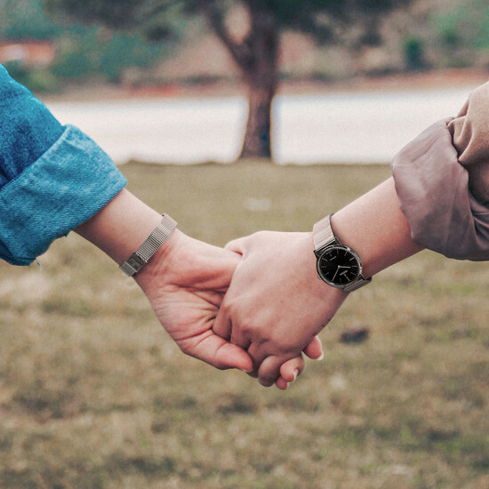 Festina Swiss Made F20014/3.