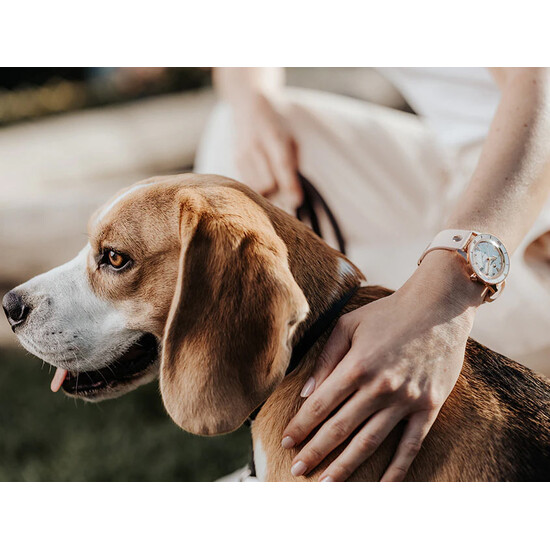 Zegarek na nadgarstku Rado