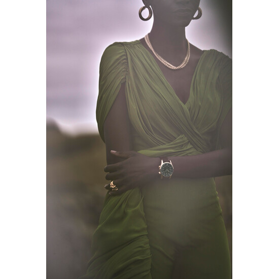 Longines Legend Diver Watch Bronze L3.774.1.50.2
beauty 2