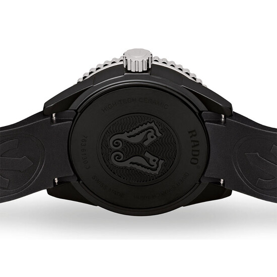 Koniki morskie na deklu