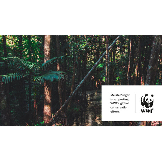 Zegarek przyjazny środowisku MeisterSinger.