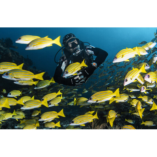 Zegarek z zaworem helowym Davosa