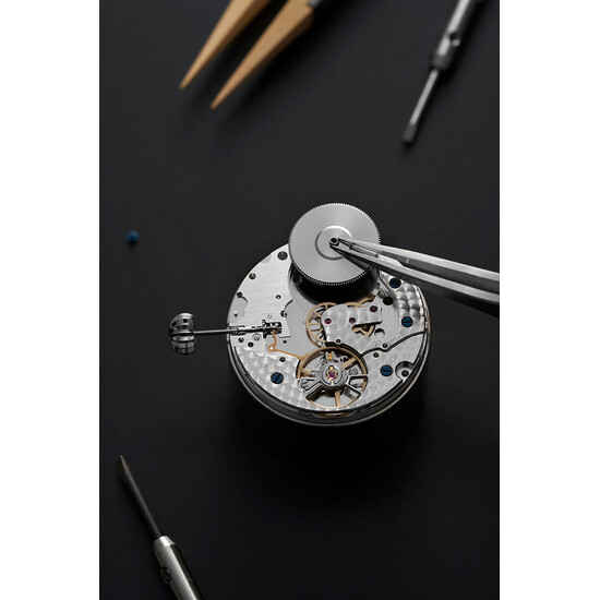 Ręczne składanie zegarka 
Frederique Constant