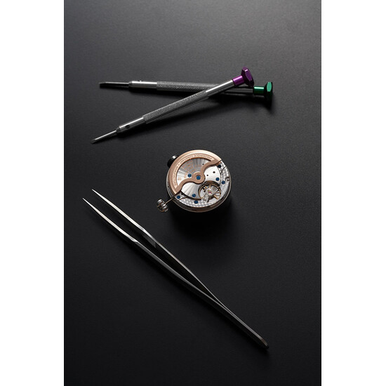 Frederique Constant FC-716N3H6