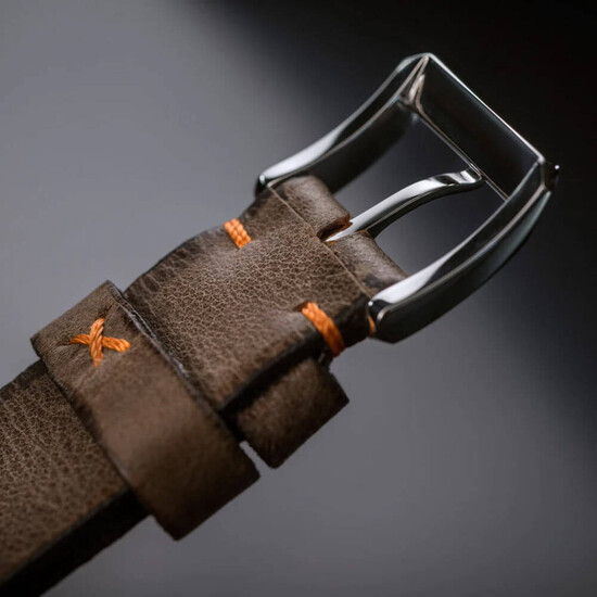 Klamerka w pasku Davosa