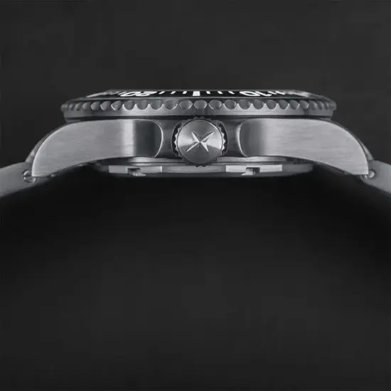 Koperta zegarka Davosa Ternos Professional 68h Eagle Bay