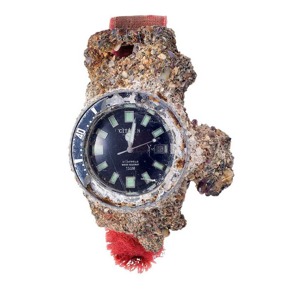 Zegarek Citizen Challenge Diver znaleziony w oceanie.