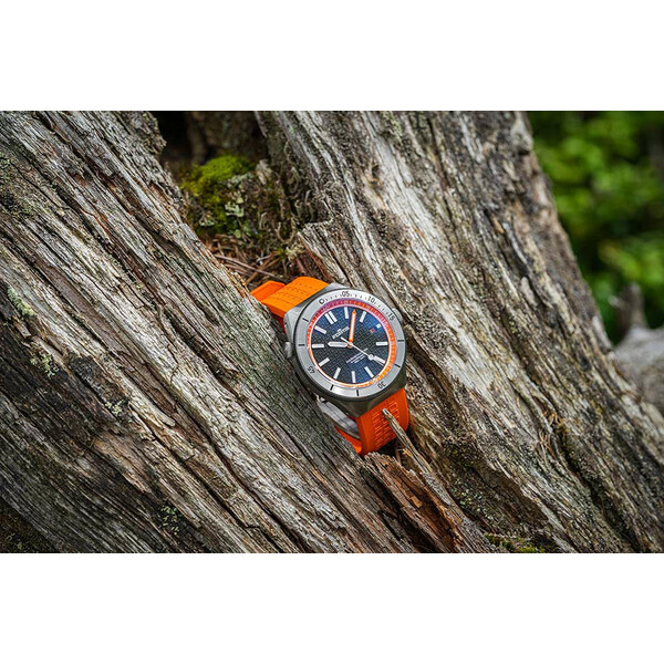 Zegarek w lesie.