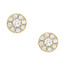 Kolczyki złote okrągłe z cyrkoniami Fossil